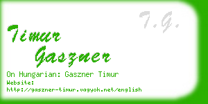 timur gaszner business card